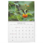 Kolibri-Jahr 'rund Kalender (Feb 2027)