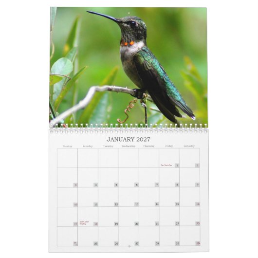 Kolibri-Jahr 'rund Kalender (Jan 2027)