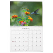 Kolibri-Jahr 'rund Kalender (Mär 2027)