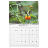 Kolibri-Jahr 'rund Kalender (Feb 2026)