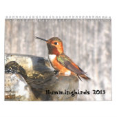 Kolibri-Kalender 2013 Kalender (Titelbild)