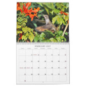 Kolibri-Kalender 2014 Kalender (Feb 2027)