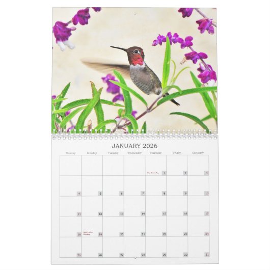 Kolibri-Kalender 2014 Kalender (Jan 2026)