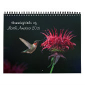 Kolibri-Kalender 2016 Kalender (Titelbild)