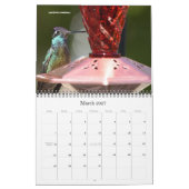 Kolibri-Kalender 2016 Kalender (Mär 2027)