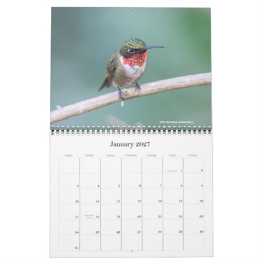 Kolibri-Kalender 2016 Kalender (Jan 2027)