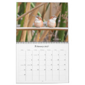 Kolibri-Kalender 2016 Kalender (Feb 2027)