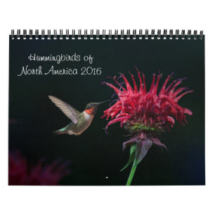 Kolibri-Kalender 2016 Kalender