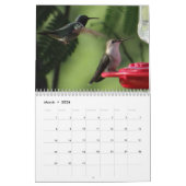 Kolibri-Kalender 2017 - ändern Sie Jahr, wie Kalender (Mär 2026)