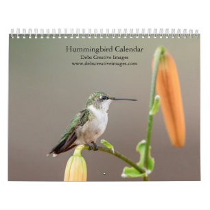 Kolibri-Kalender 2026 Wildlife von Debbie Quick Kalender