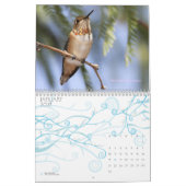 Kolibri-Kalender Kalender (Jan 2027)