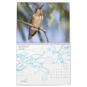 Kolibri-Kalender Kalender (Jan 2026)