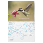 Kolibri-Kalender Kalender (Feb 2026)