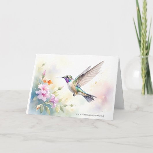 Kolibri Karte (Vorderseite)