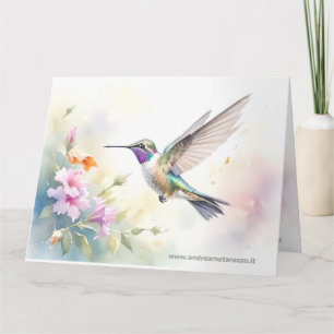 Kolibri Karte