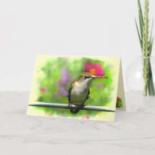 Kolibri Karte