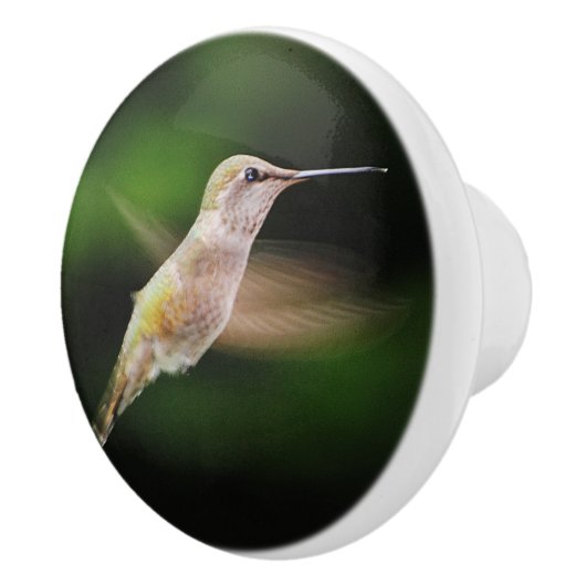 Kolibri-Keramikgriff Keramikknauf (Rechts)