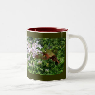 Kolibri-klare Zweifarbige Tasse