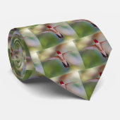 Kolibri Krawatte (Gerollt)