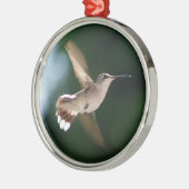 Kolibri-Liebhaber-Verzierung Silbernes Ornament (Links)