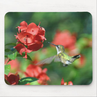 Kolibri-Mausunterlage Mousepad