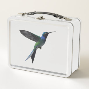 Kolibri Minimalist Metall Brotdose