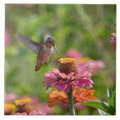 Kolibri mit Zinnias Fliese (Vorderseite)