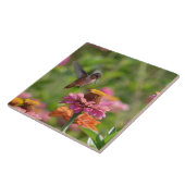 Kolibri mit Zinnias Fliese (Seite)