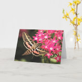 Kolibri-Motte Karte (Gelbe Blume)