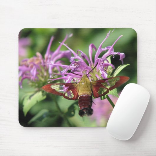Kolibri-Motte Mousepad (Mit Mouse)