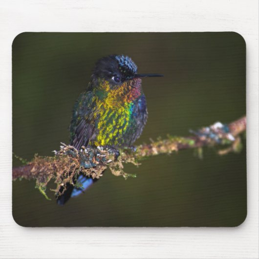 Kolibri Mousepad (Vorne)