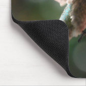 Kolibri, mousepad (Ecke)