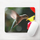Kolibri, mousepad (Mit Mouse)