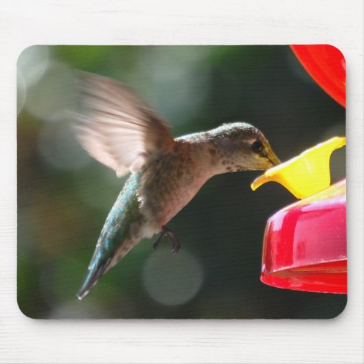 Kolibri, mousepad (Vorne)