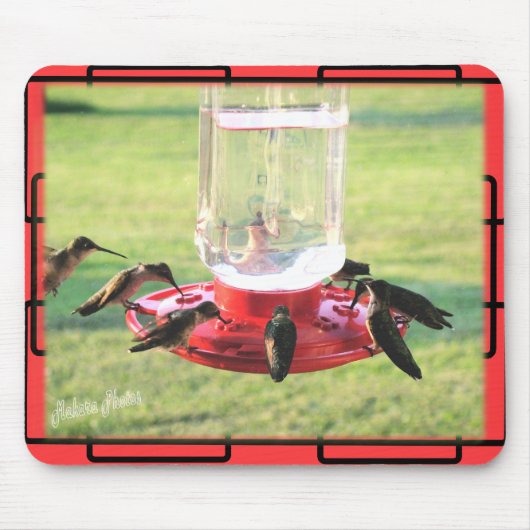 Kolibri Mousepad (Vorne)