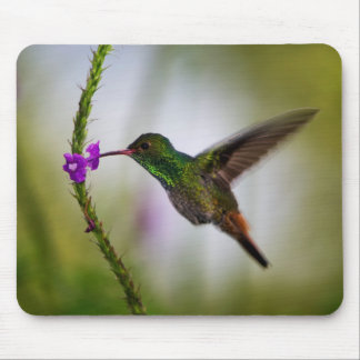 Kolibri Mousepad