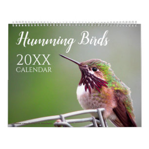 Kolibri Natur Wildtiere  Kalender