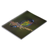 Kolibri Notizblock (Linke Seite)