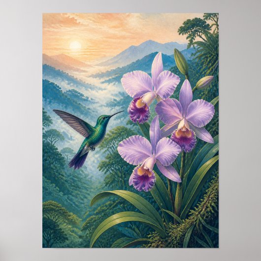 Kolibri-Orchideen-Plakat 'Cloud Forest' 30x40 cm Poster (Vorne)