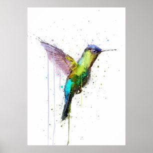 Kolibri Poster