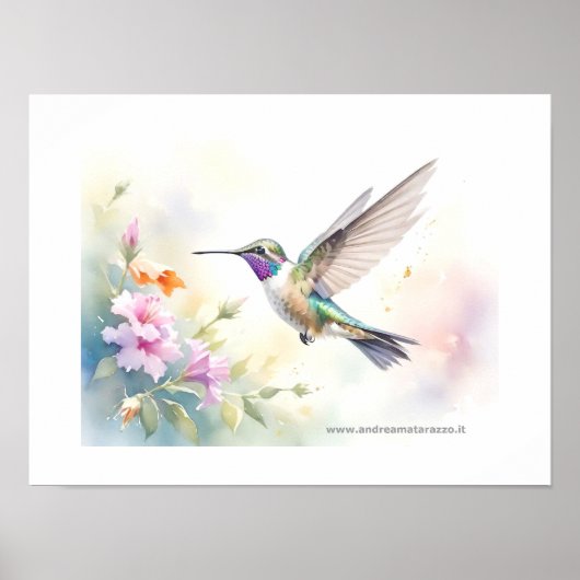Kolibri Poster (Vorne)