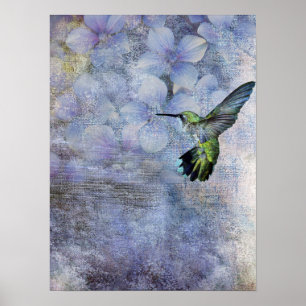 Kolibri Poster