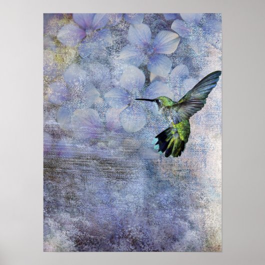 Kolibri Poster (Vorne)