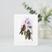 Kolibri Postkarte (Stehend Vorderseite)