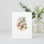 Kolibri Postkarte (Stehend Vorderseite)