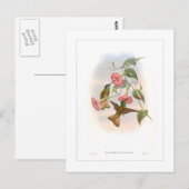 Kolibri Postkarte (Vorne/Hinten)