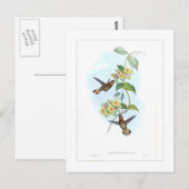 Kolibri Postkarte (Vorne/Hinten)