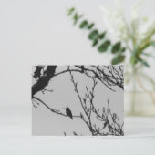 Kolibri-Postkarte Postkarte (Stehend Vorderseite)