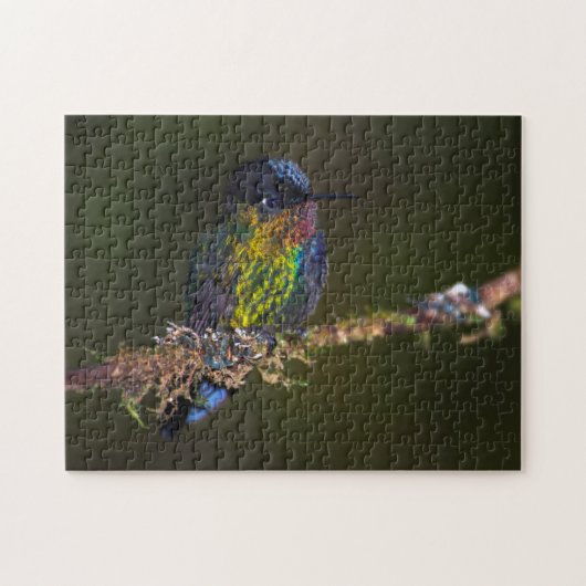 Kolibri Puzzle (Horizontal)