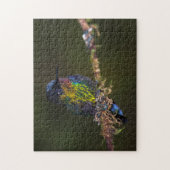 Kolibri Puzzle (Vertikal)
